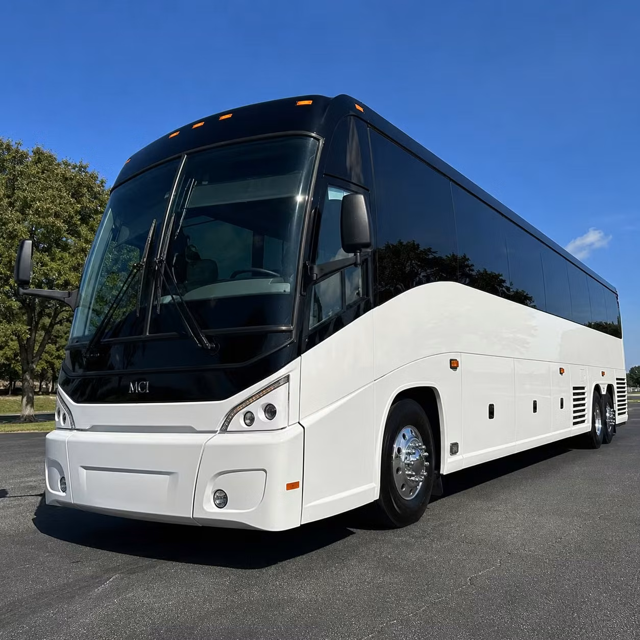 whatever the occasion chattanooga church youth group transportation has you covered